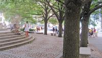 Grand Army Plaza, Central Park, New York City, NY