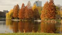 Harlem Meer, Central Park, New York City, NY