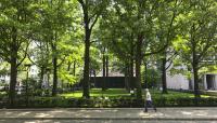 Washington Square Village, New York, NY