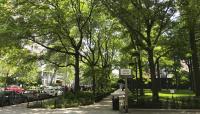 Washington Square Village, New York, NY