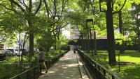 Washington Square Village, New York, NY