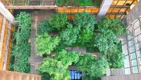 Ford Foundation Atrium, New York City, New York