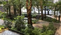 Ford Foundation Building Atrium, New York City, NY