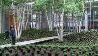 New York Times Building Lobby Garden, New York, NY