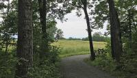 Poet's Walk Park, Red Hook, NY