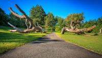 Genesee Valley Park, Rochester, NY