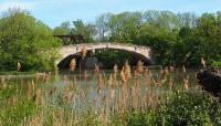 Genesee Valley Park, Rochester, NY