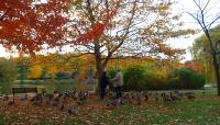 Seneca Park, Rochester, NY