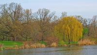 Seneca Park, Rochester, NY