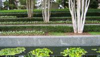 Nasher Sculpture Garden, Dallas, TX