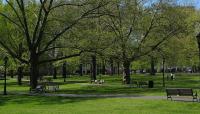 New Haven Green, New Haven, CT