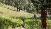 O'Fallon Park, Morrison, CO