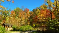 Hills & Dales MetroPark, Dayton, OH