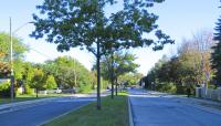 Don Mills Neighborhood, Toronto - Photo by Nathan Jenkins