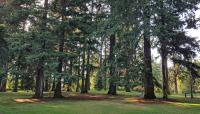 Kenilworth Park, Portland, OR