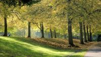 Laurelhurst Park, Portland, OR