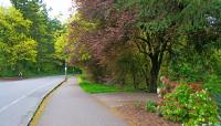 Terwilliger Parkway, Portland, OR