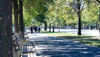 Ocean Parkway