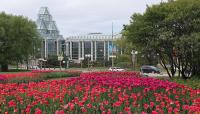 National Gallery of Canada, Ottawa, Ontario