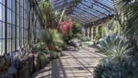 Longwood Gardens, Kennett Square, PA