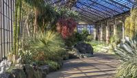 Longwood Gardens-Silver Garden, Kennett Sqare, PA