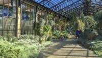 Longwood Gardens-Silver Garden, Kennett Sqare, PA