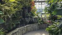 Longwood Gardens-Cascade Garden, Kennett Sqare, PA