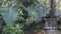 Longwood Gardens-Cascade Garden, Kennett Sqare, PA