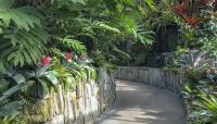 Longwood Gardens-Cascade Garden, Kennett Sqare, PA