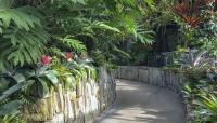 Longwood Gardens-Cascade Garden, Kennett Sqare, PA