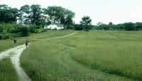 Payson Estate, Cumberland, ME
