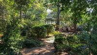Peckerwood Garden, Hempstead, TX