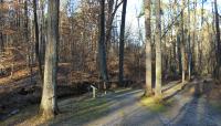 Petersburg National Battlefield, Petersburg, VA