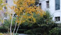 Prouty Garden, Boston, MA