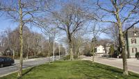 Memorial Boulevard, Newport, RI