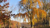 Photo courtesy of The Coalition to Save Historic Rahway River Park:: ::The Cultural Landscape Foundation