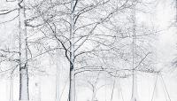 Photo by Frank Dickert courtesy of The Coalition to Save Historic Rahway River Park:: ::The Cultural Landscape Foundation