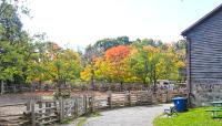 Riverdale Farm, Toronto