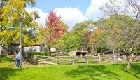 Riverdale Farm, Toronto