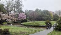 Roger Williams Park, Providence, RI