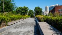 Rose Fitzgerald Kennedy Greenway