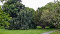 Rovensky Park, Newport, RI