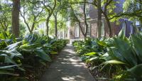 Southern Methodist University, Dallas, TX