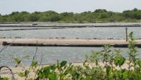 Cabo Rojo Salt Flats, Cabo Rojo, PR