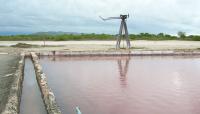 Cabo Rojo Salt Flats, Cabo Rojo, PR