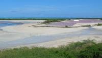 Cabo Rojo Salt Flats, Cabo Rojo, PR