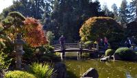 San Mateo Tea Garden, San Mateo, CA