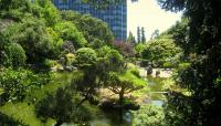 San Mateo Tea Garden, San Mateo, CA