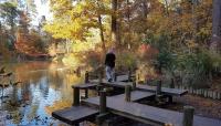 Sarah P. Duke Gardens | The Cultural Landscape Foundation