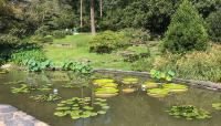 Sarah P. Duke Gardens | The Cultural Landscape Foundation